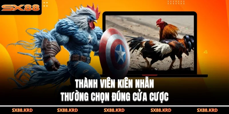Thành viên học hỏi thêm các chiến thuật đặt cược