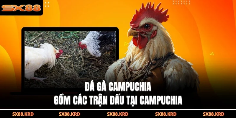 Đá gà Campuchia gồm các trận đấu tại Campuchia