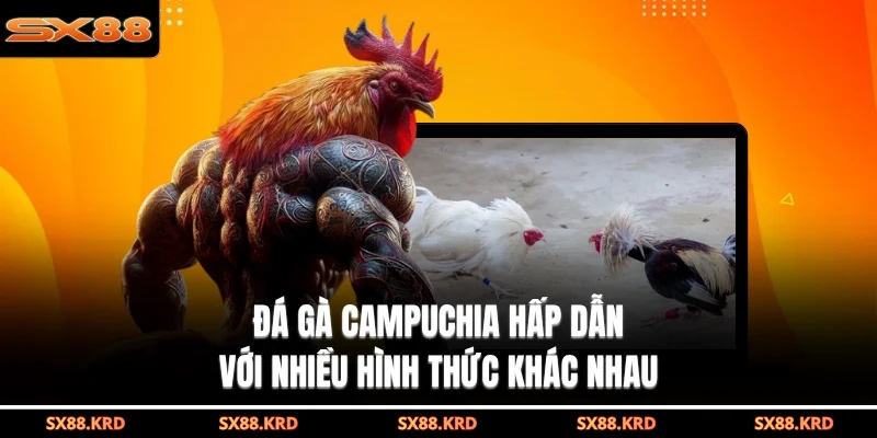 đá gà campuchia