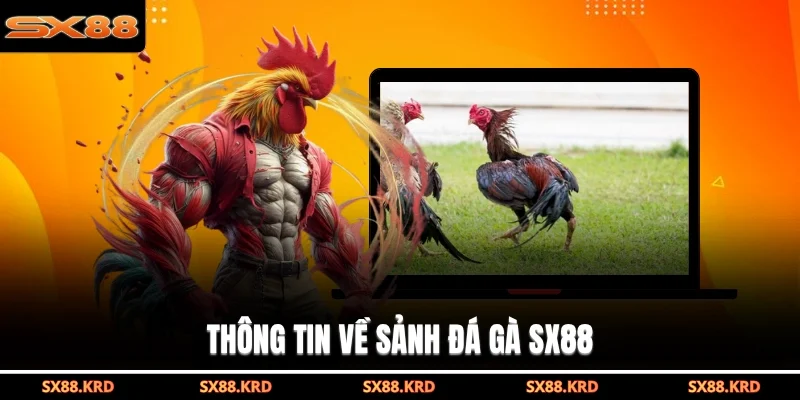 Thông tin về sảnh đá gà SX88
