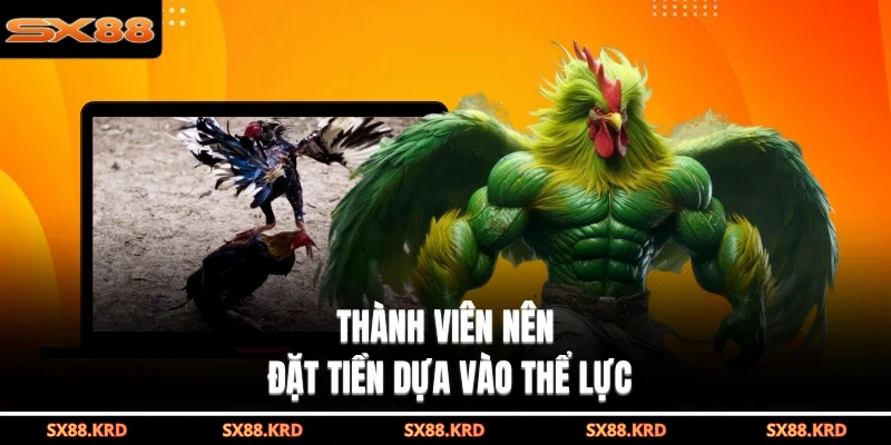 Thành viên nên đặt tiền dựa vào thể lực