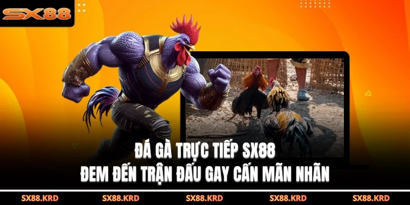 đá gà trực tiếp