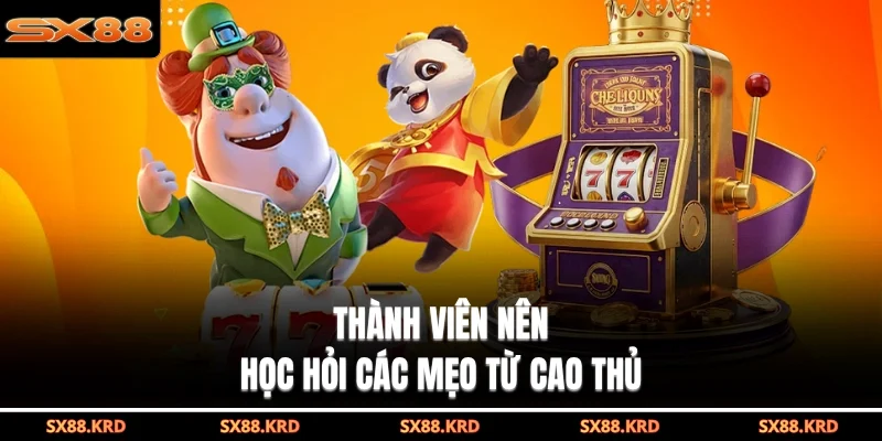 Thành viên nên học hỏi các mẹo từ cao thủ