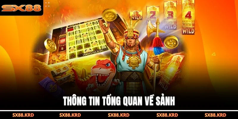Thông tin tổng quan về sảnh